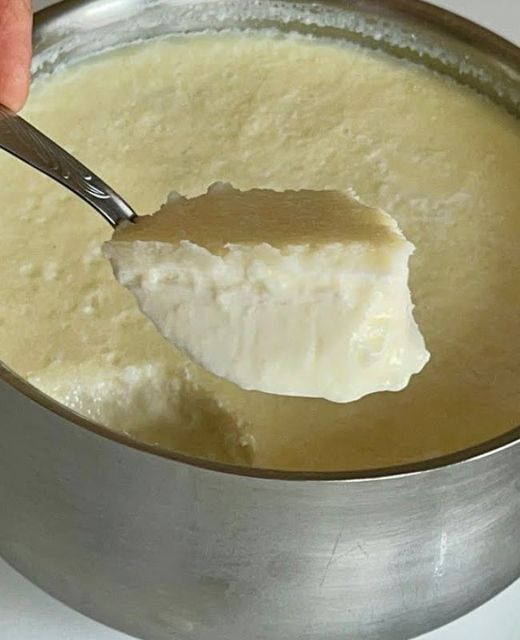 Fermentación de yogur casero