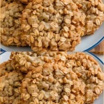 Galletas de proteína de avena frescas y nutritivas