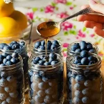 Tarro de arándanos en conserva listos para disfrutar en recetas