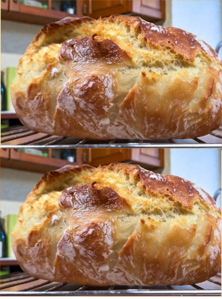 Deliciosa receta de Pan Sin Tocar para disfrutar en cualquier ocasión